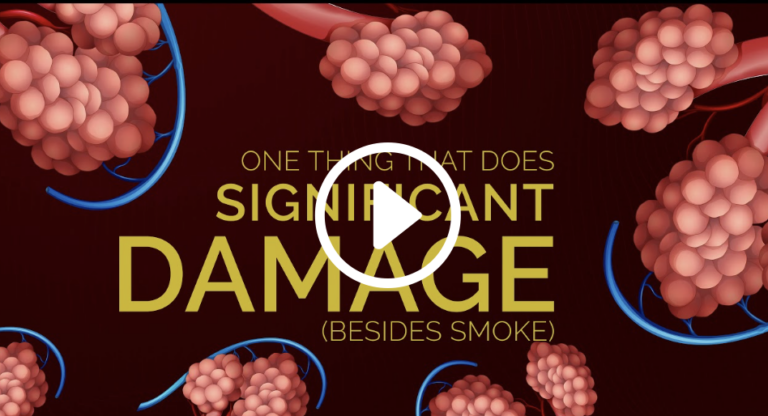 Your Respiratory System (motion graphic)